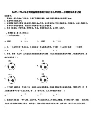 2023-2024学年湖南省邵阳市新宁县数学七年级第一学期期末统考试题含解析.doc