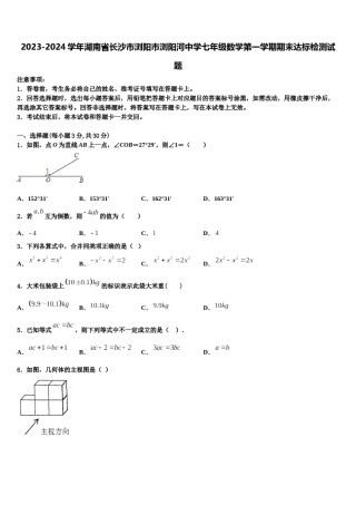 2023-2024学年湖南省长沙市浏阳市浏阳河中学七年级数学第一学期期末达标检测试题含解析.doc