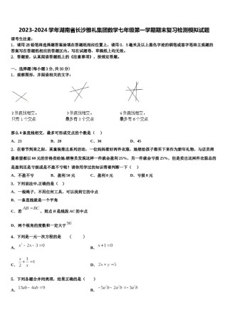 2023-2024学年湖南省长沙雅礼集团数学七年级第一学期期末复习检测模拟试题含解析.doc