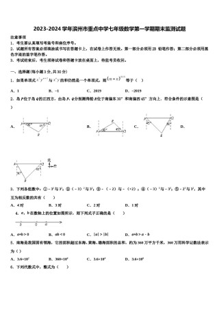 2023-2024学年滨州市重点中学七年级数学第一学期期末监测试题含解析.doc