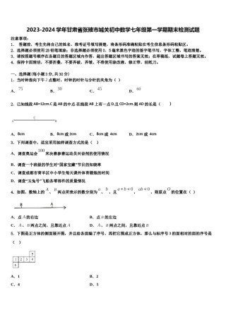 2023-2024学年甘肃省张掖市城关初中数学七年级第一学期期末检测试题含解析.doc