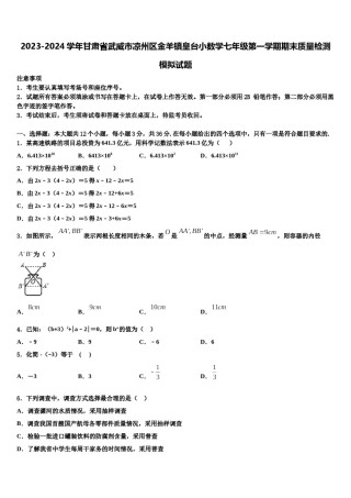 2023-2024学年甘肃省武威市凉州区金羊镇皇台小数学七年级第一学期期末质量检测模拟试题含解析.doc