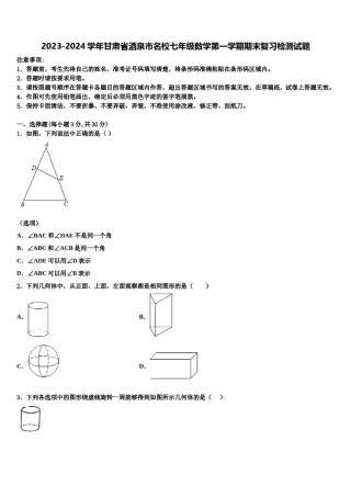 2023-2024学年甘肃省酒泉市名校七年级数学第一学期期末复习检测试题含解析.doc