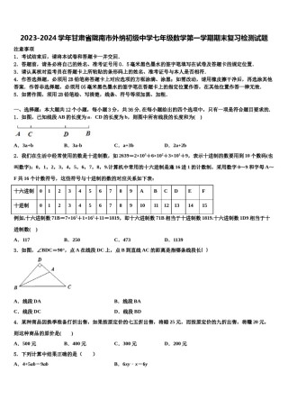 2023-2024学年甘肃省陇南市外纳初级中学七年级数学第一学期期末复习检测试题含解析.doc