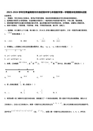 2023-2024学年甘肃省陇南市外纳初级中学七年级数学第一学期期末检测模拟试题含解析.doc