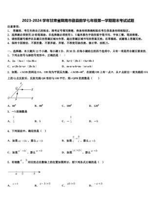 2023-2024学年甘肃省陇南市徽县数学七年级第一学期期末考试试题含解析.doc