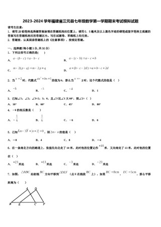 2023-2024学年福建省三元县七年级数学第一学期期末考试模拟试题含解析.doc