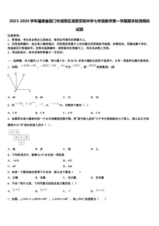 2023-2024学年福建省厦门市湖里区湖里实验中学七年级数学第一学期期末检测模拟试题含解析.doc