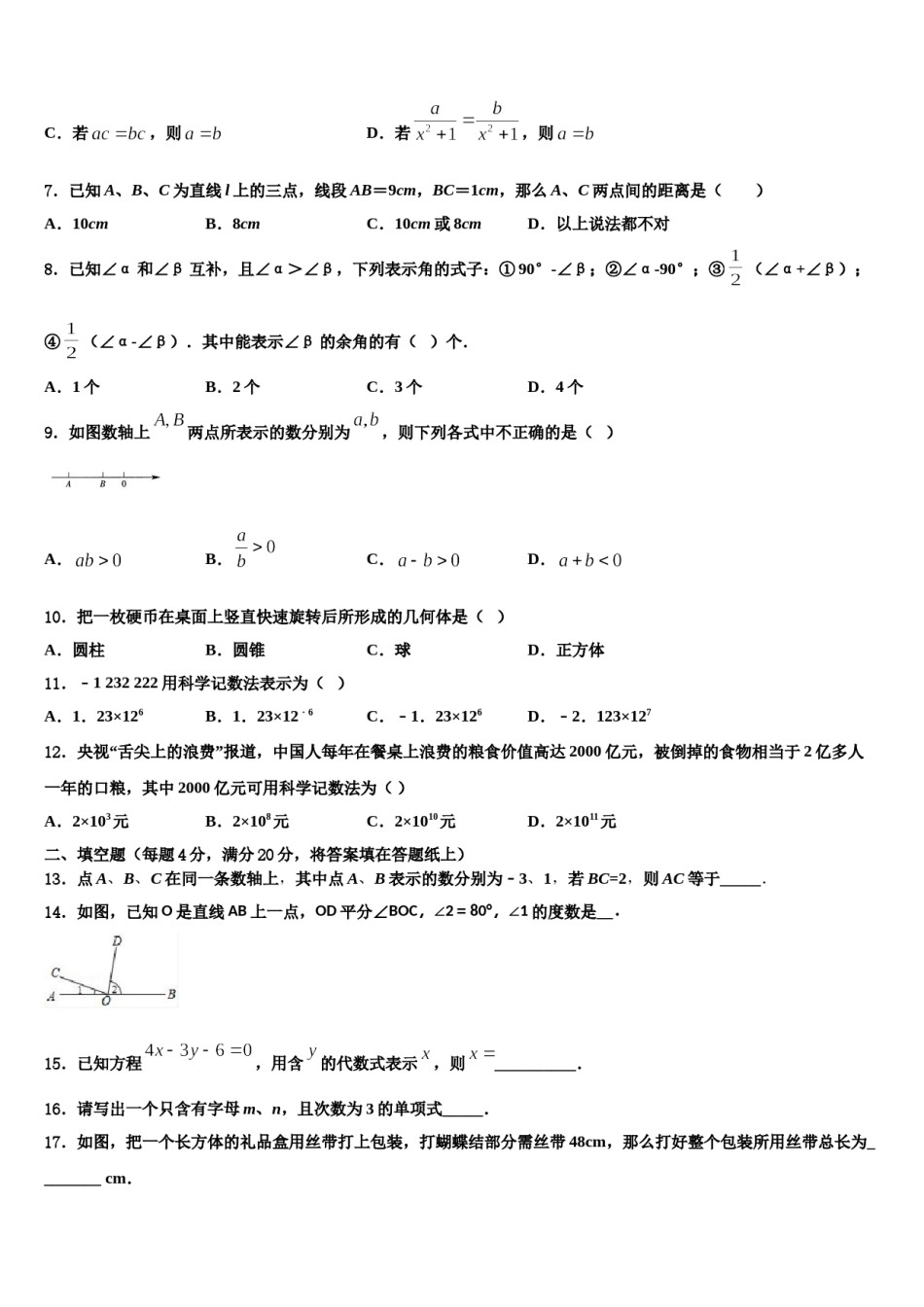 2023-2024学年福建省厦门市音乐学校数学七年级第一学期期末联考模拟试题含解析.doc_第2页