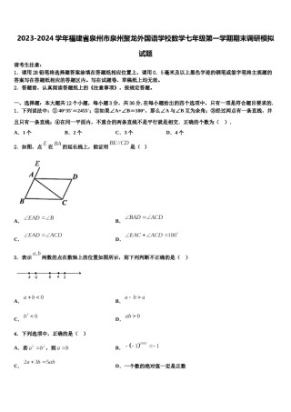 2023-2024学年福建省泉州市泉州聚龙外国语学校数学七年级第一学期期末调研模拟试题含解析.doc