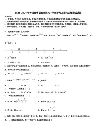 2023-2024学年福建省福安市湾坞中学数学七上期末达标测试试题含解析.doc