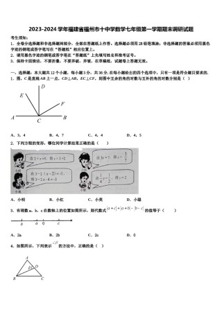 2023-2024学年福建省福州市十中学数学七年级第一学期期末调研试题含解析.doc