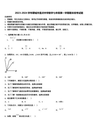 2023-2024学年聊城市重点中学数学七年级第一学期期末统考试题含解析.doc