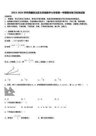 2023-2024学年西藏自治区左贡县数学七年级第一学期期末复习检测试题含解析.doc