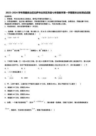 2023-2024学年西藏自治区拉萨市达孜区孜县七年级数学第一学期期末达标测试试题含解析.doc