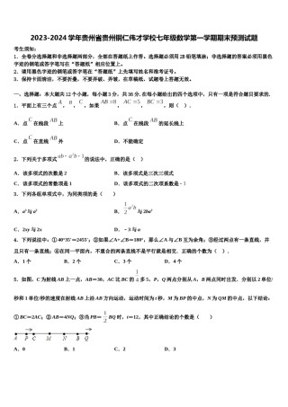 2023-2024学年贵州省贵州铜仁伟才学校七年级数学第一学期期末预测试题含解析.doc