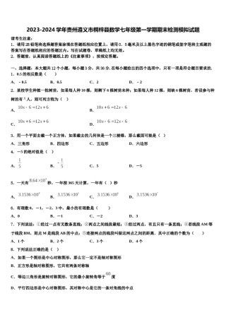2023-2024学年贵州遵义市桐梓县数学七年级第一学期期末检测模拟试题含解析.doc