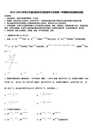 2023-2024学年辽宁省沈阳市沈河区数学七年级第一学期期末检测模拟试题含解析.doc