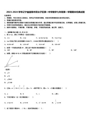 2023-2024学年辽宁省盘锦市双台子区第一中学数学七年级第一学期期末经典试题含解析.doc