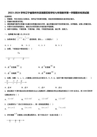 2023-2024学年辽宁省锦州市滨海期实验学校七年级数学第一学期期末检测试题含解析.doc