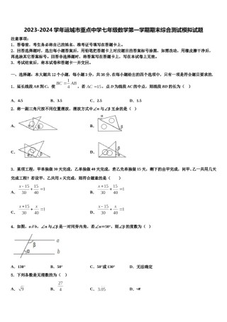 2023-2024学年运城市重点中学七年级数学第一学期期末综合测试模拟试题含解析.doc