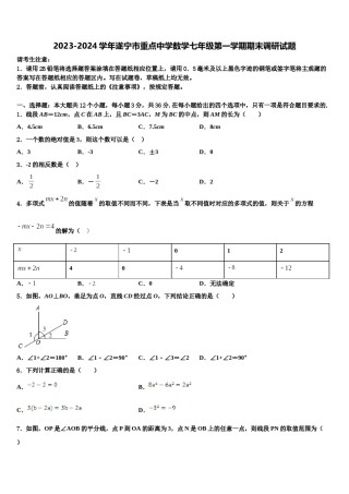 2023-2024学年遂宁市重点中学数学七年级第一学期期末调研试题含解析.doc