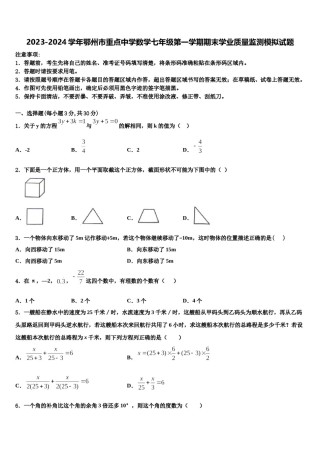 2023-2024学年鄂州市重点中学数学七年级第一学期期末学业质量监测模拟试题含解析.doc
