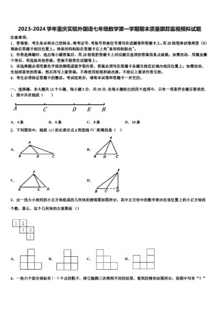 2023-2024学年重庆实验外国语七年级数学第一学期期末质量跟踪监视模拟试题含解析.doc