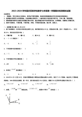2023-2024学年重庆实验学校数学七年级第一学期期末检测模拟试题含解析.doc