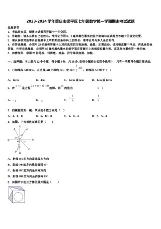 2023-2024学年重庆市梁平区七年级数学第一学期期末考试试题含解析.doc