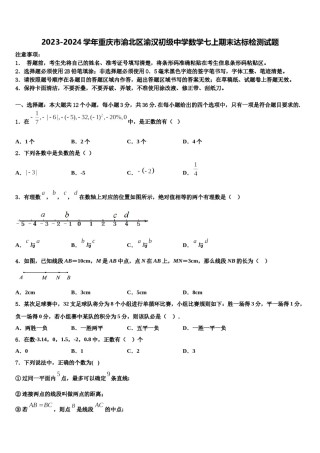 2023-2024学年重庆市渝北区渝汉初级中学数学七上期末达标检测试题含解析.doc