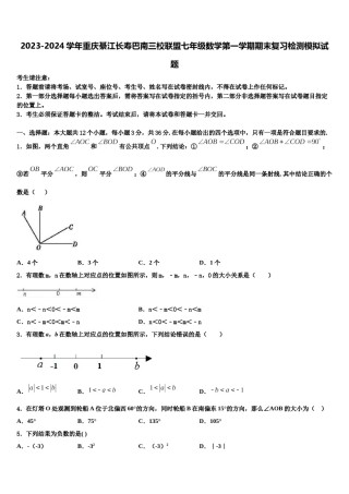 2023-2024学年重庆綦江长寿巴南三校联盟七年级数学第一学期期末复习检测模拟试题含解析.doc