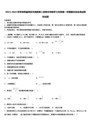 2023-2024学年陕西省西安市高新第二初级中学数学七年级第一学期期末综合测试模拟试题含解析.doc