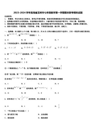 2023-2024学年青海省玉树市七年级数学第一学期期末联考模拟试题含解析.doc