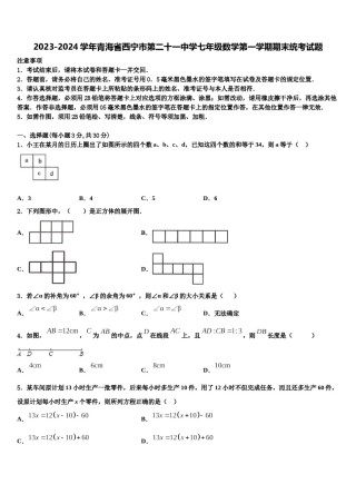 2023-2024学年青海省西宁市第二十一中学七年级数学第一学期期末统考试题含解析.doc