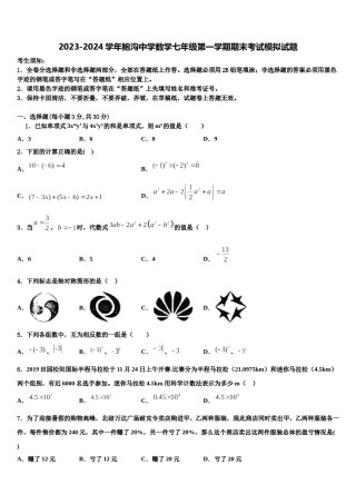 2023-2024学年鲍沟中学数学七年级第一学期期末考试模拟试题含解析.doc