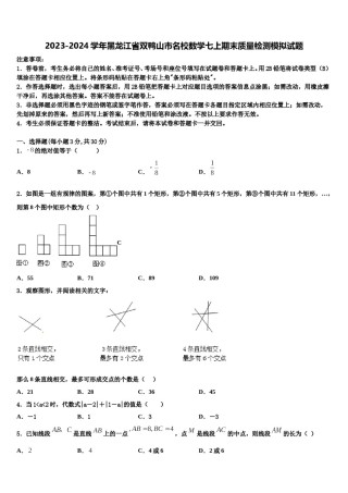 2023-2024学年黑龙江省双鸭山市名校数学七上期末质量检测模拟试题含解析.doc