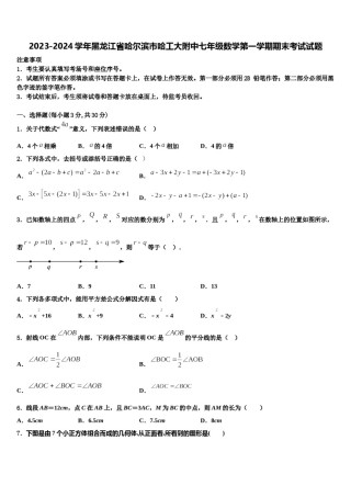 2023-2024学年黑龙江省哈尔滨市哈工大附中七年级数学第一学期期末考试试题含解析.doc