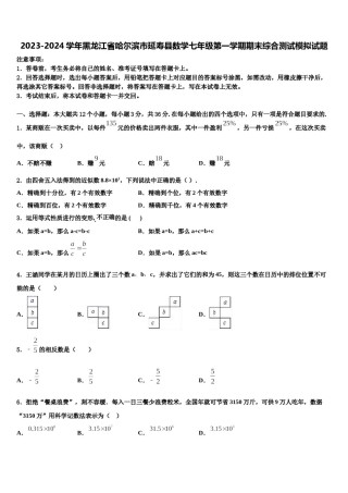 2023-2024学年黑龙江省哈尔滨市延寿县数学七年级第一学期期末综合测试模拟试题含解析.doc