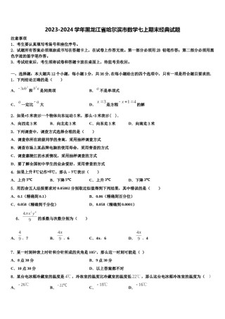 2023-2024学年黑龙江省哈尔滨市数学七上期末经典试题含解析.doc