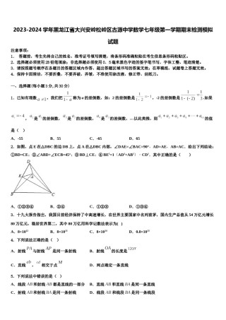 2023-2024学年黑龙江省大兴安岭松岭区古源中学数学七年级第一学期期末检测模拟试题含解析.doc