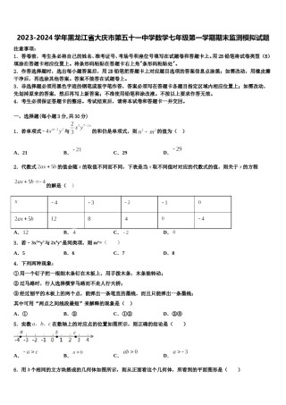2023-2024学年黑龙江省大庆市第五十一中学数学七年级第一学期期末监测模拟试题含解析.doc