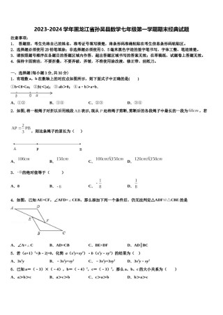 2023-2024学年黑龙江省孙吴县数学七年级第一学期期末经典试题含解析.doc