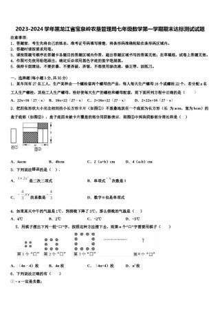 2023-2024学年黑龙江省宝泉岭农垦管理局七年级数学第一学期期末达标测试试题含解析.doc