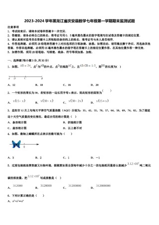2023-2024学年黑龙江省庆安县数学七年级第一学期期末监测试题含解析.doc