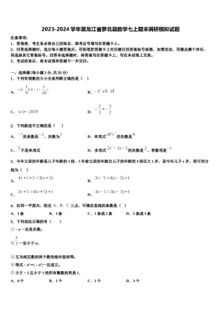 2023-2024学年黑龙江省萝北县数学七上期末调研模拟试题含解析.doc