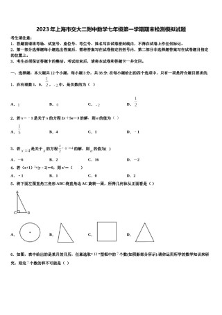 2023年上海市交大二附中数学七年级第一学期期末检测模拟试题含解析.doc