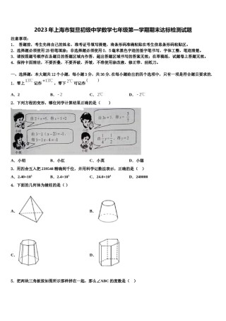 2023年上海市复旦初级中学数学七年级第一学期期末达标检测试题含解析.doc
