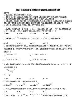 2023年上海市娄山教育集团四校数学七上期末统考试题含解析.doc