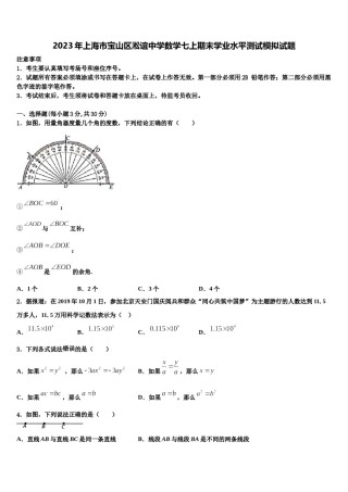 2023年上海市宝山区淞谊中学数学七上期末学业水平测试模拟试题含解析.doc